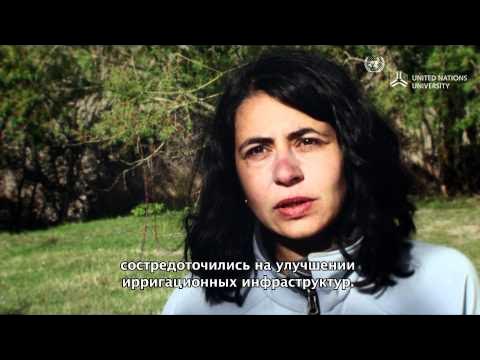 Санаторийлер мен шипажайлардың жасырын камералары, жалаңаштану