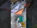 Poor little guy... To late in this hot weather #dd #dumpsterdiving #saveanimals #savetheplanet