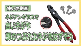 【工具/使い方】ネジアンギラスで小ネジを外そう！（使い方動画）