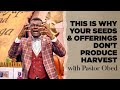 THIS IS THE REASON WHY YOUR SEEDS AND OFFERINGS DON