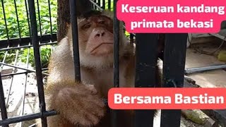 Saturday at 7:30 p.m., November 8, 2025