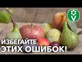 СОСЕДИ ПО САДУ – КАКИЕ РАСТЕНИЯ НЕ ДРУЖАТ МЕЖДУ СОБОЙ? Что с чем НЕЛЬЗЯ сажать рядом?!