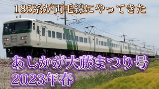 【185系】あしかが大藤まつり号を撮影してきた