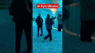 Kyiv Walk Exhibition 😍 Ukraine vlog #shorts #vlog #Ukraine #Kyiv #travel