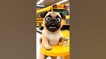 Unboxing & Testing the Transforming School Bus Robot with Pug Dog | Collector