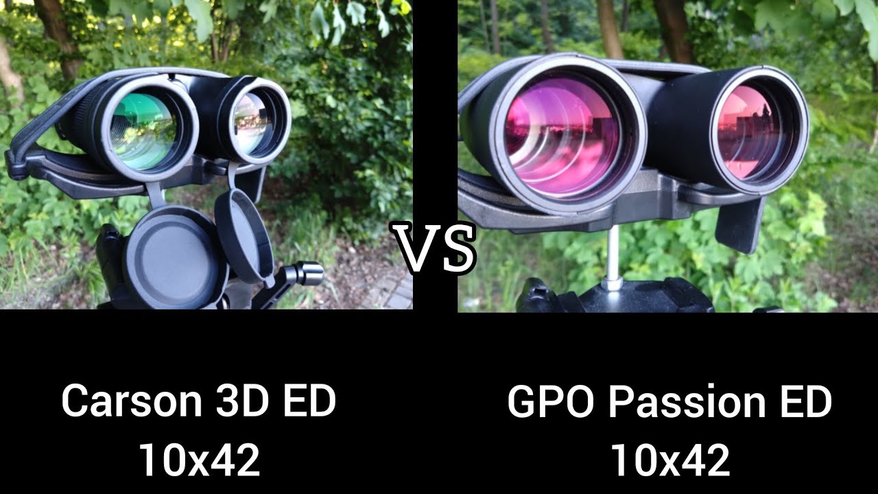 Which Binoculars Show More Details Carson 3D ED vs GPO Passion ED
