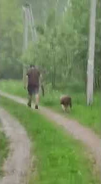youtube.com