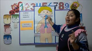 SISTEMA RESPIRATORIO, para niños de 4 años.