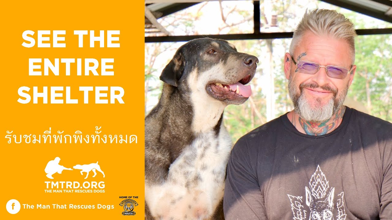 See The Entire TMTRD Shelter!!!