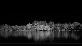 Darktable Episode 48: black and white conversion part 1 screenshot 5