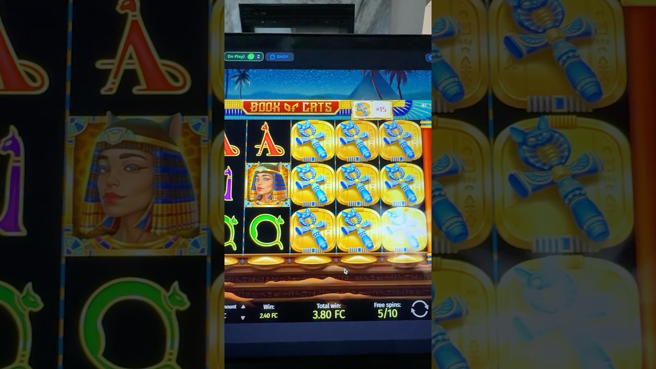 mơ thấy 3 con chó Buying a $100 bonus Slots Jackpot Bonus