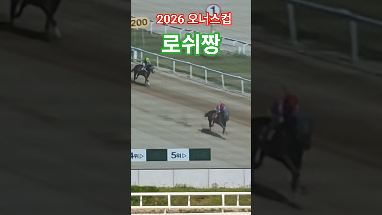 부산말들 아작을내버렸읍니다 #경마 #말 #달려라말 #대상경주  #shorts
