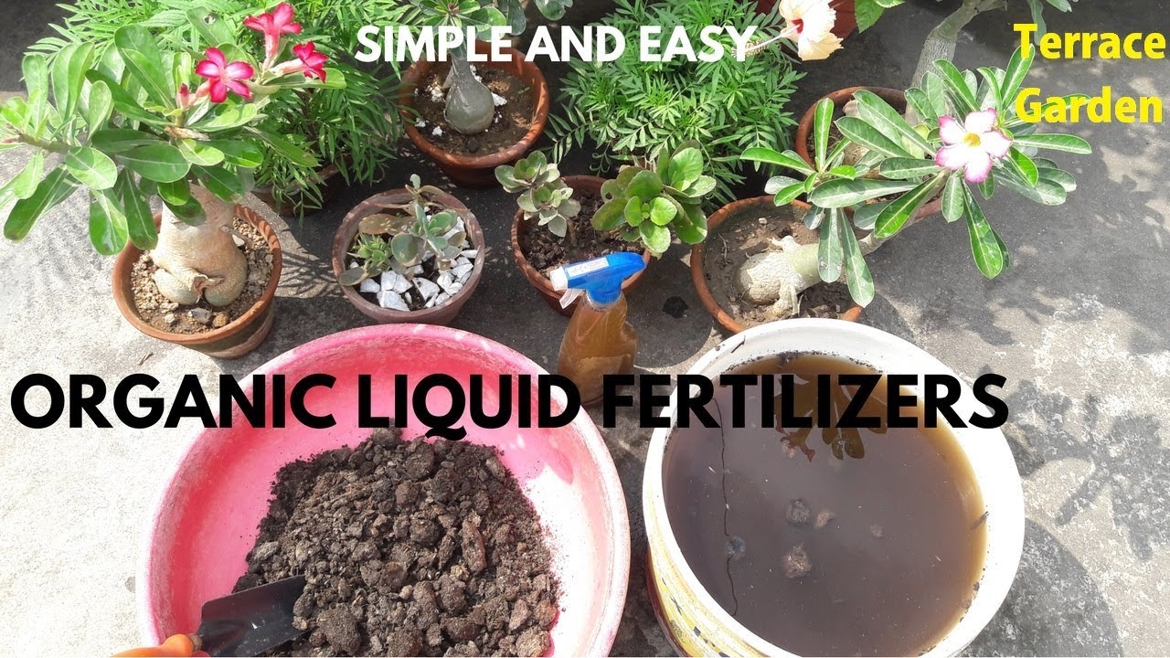 liquid fertilizers for vegetables
