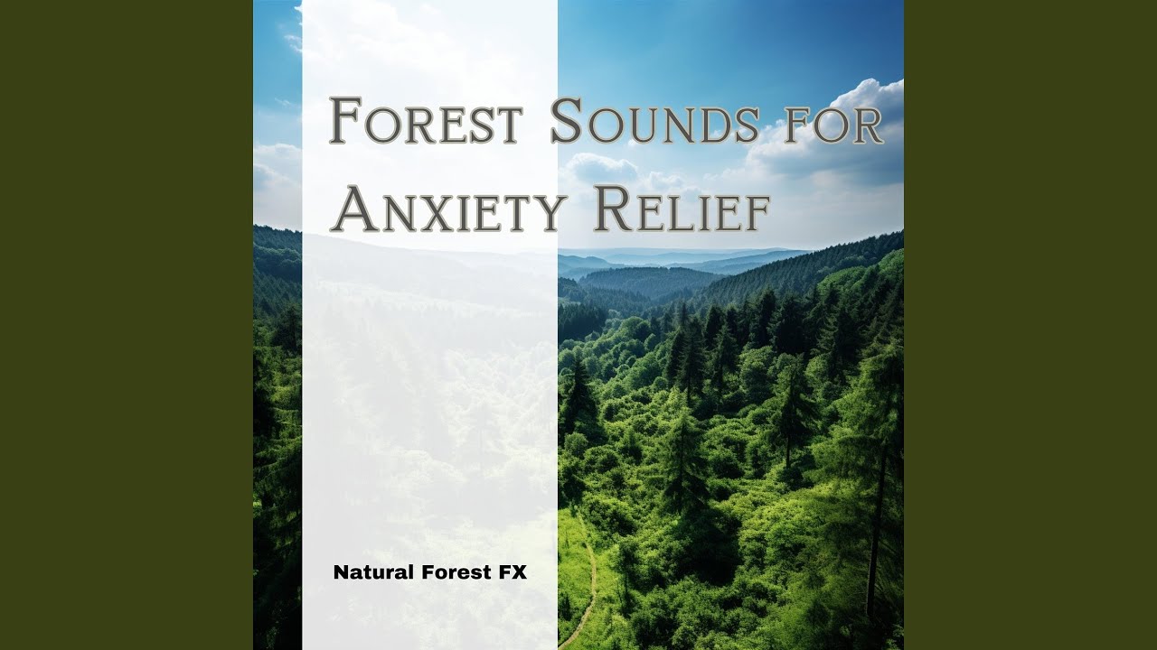 Watch Forest Chatter on YouTube Watch Forest Chatter on YouTube