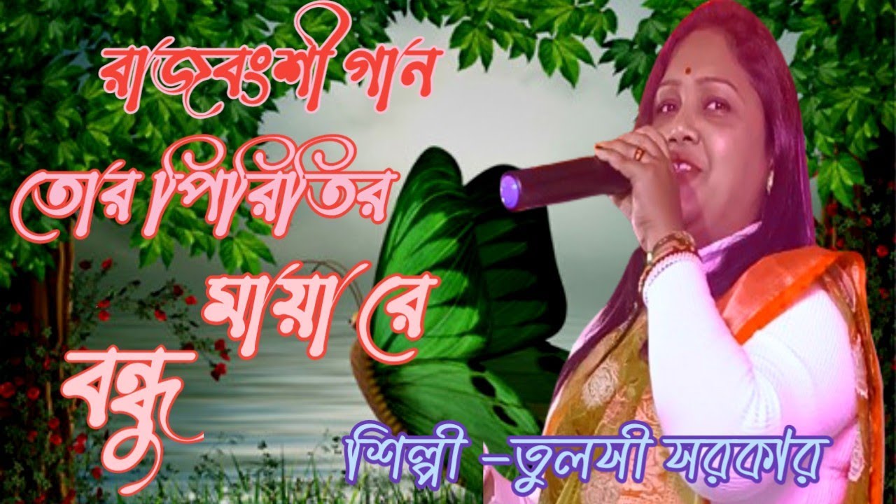 তোর পিরিতির মায়া রে বন্ধু //রাজবংশী গান //শিল্পী -তুলসী সরকার