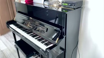 Nalbantov N-Drive Floppy Emulator for Yamaha Disklavier Piano