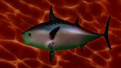 SpongeBob Intro Acapella!