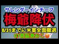 【降伏した梅】虎氏に追い風「サ●ンダーインチーフ」がトレンド入り・8月31日期日までに米○全面撤退へ。その後は誘●や人●内●などのリスク高まる