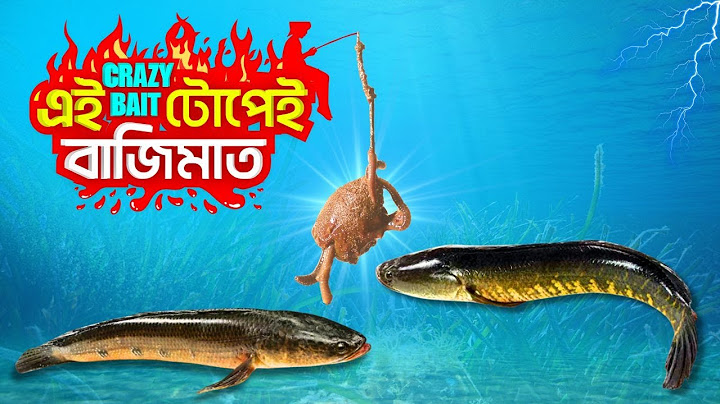 🔥 ১০০% নিশ্চিত শিকার! শোল গজার মাছের গোপন টোপ ফাঁস!  Secret Bait for Snakehead Fishing 🎣