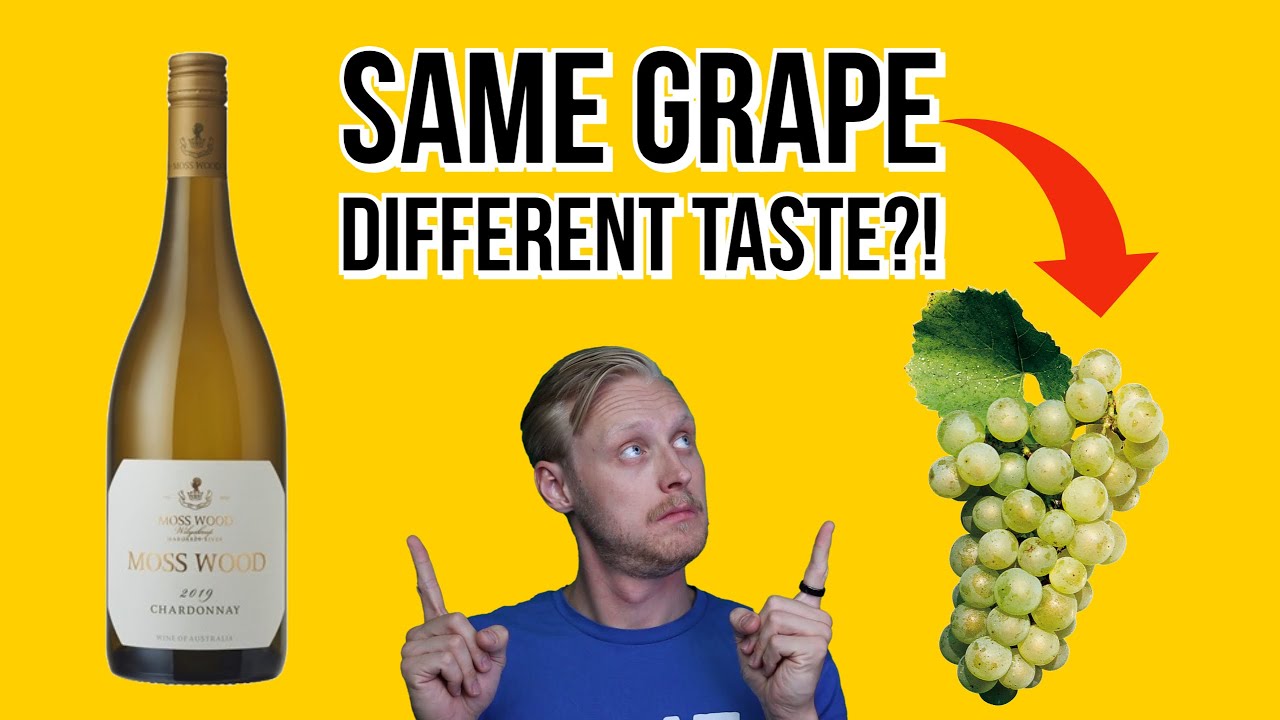 What Does Chardonnay Taste Like? (CLIMATE INFLUENCE) YouTube