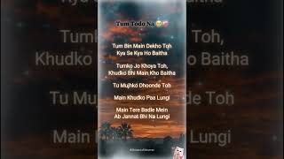 Tum Todo Na Tum Bin Main Dekho To Bela Shende &amp; Ash King | Heart Touching SongLyrics #lyrics #fyp
