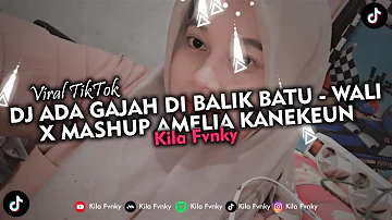 DJ ADA GAJAH DI BALIK BATU (BOOTLEG) X MASHUP AMELIA VIRAL TIKTOK 2023