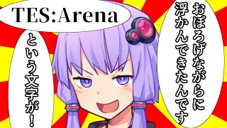 【TES: Arena】謹賀新年！初代TESをプレイして初心を思い出そう