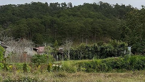 Bán lô đất ngay chân đèo Prenn cách Tp Đà Lạt 10km