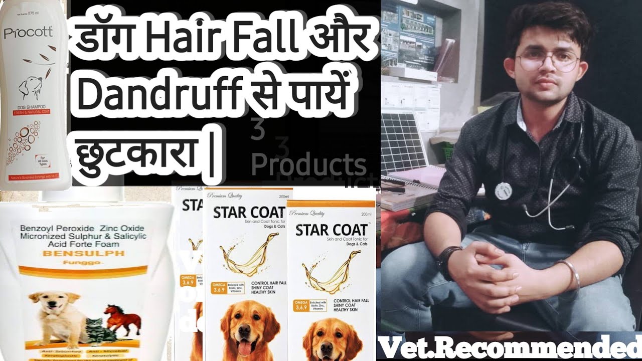 dog hair fall and dandruff solution || 3 products only.|| hair fall problem  in dog || by.#TPV - YouTube