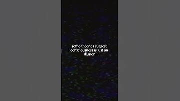 The Hard Problem of Consciousness: Why You’ll Never Know Who You Are  #psychology #consciousness