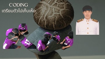 Unplugged Coding โรงเรียนบ้านหนองแกวิทยา