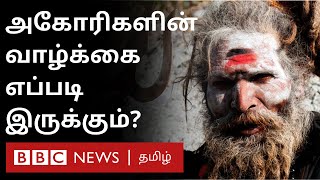 Aghoris Life எப்படி இருக்கும்?மனித மாமிசம் உண்பது உண்மையா? |  Varanasi |