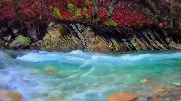 الحزب الرابع من سورة البقرة(من الآية 216 إلى الآية 224) برواية الإمام ورش عن نافع @