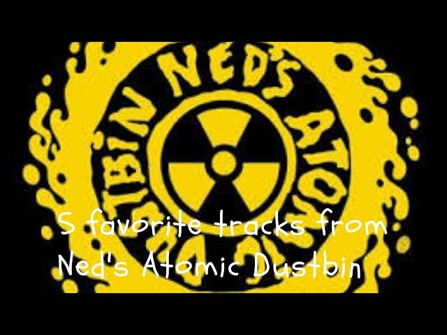 Farley's 5 Favorite Tracks from Ned's Atomic Dustbin class=