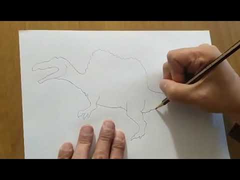 Video: Come Si Disegna Uno Spaniel