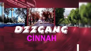 DZZGANG ( CİNNAH ) Resimi