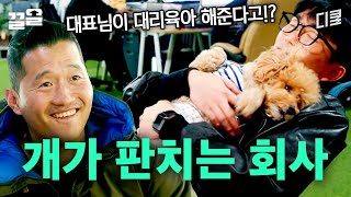 어딜 봐도 댕댕 뷰🐶 회사 복지 美쳤다..♥ 직원들이 말해주는 반려견 동반 회사의 장단점 | 고독한훈련사