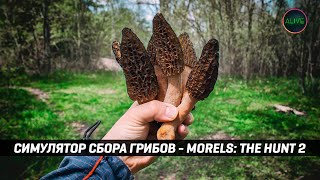 Симулятор Сбора Грибов - Morels: The Hunt 2