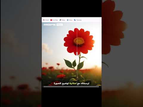 أداة بيكاسو من موقع