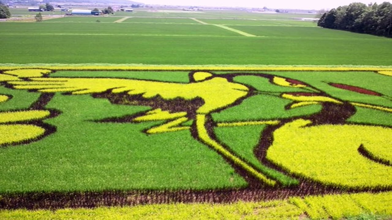 「読み語り・民話」鶴女房　　　を楽しもう！