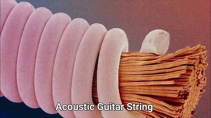 Things Under MicroScope (Part 4)