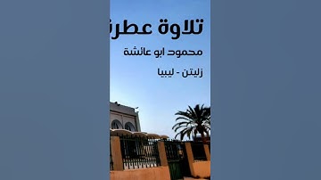 تلاوة عطرة للشيخ محمود بن عائشة #المصحف