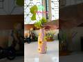 Diy Random Bottle Craft And Art#diyart #diycrafts #acrylicart #artshorts #shortviral #shorts