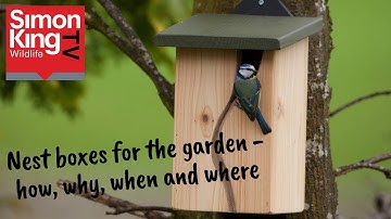 How to put up a nest box in your garden