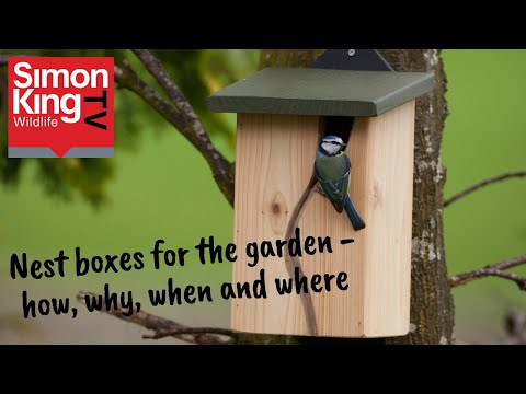 How to put up a nest box in your garden