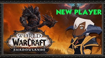 My New Player Experience in WoW as a FFXIV Player & Why I