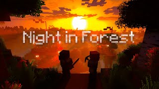 Night in Forest