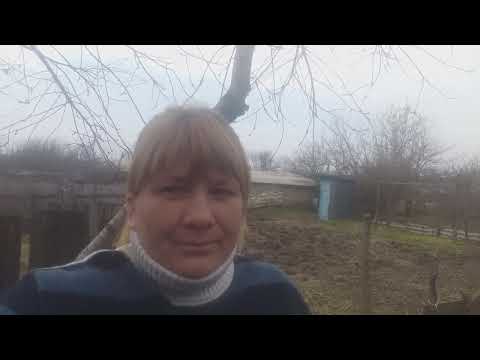 Без паники...главное не паниковать