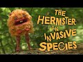 The hermster an invasive species