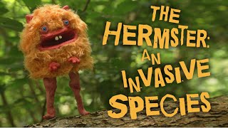 The Hermster: An Invasive Species